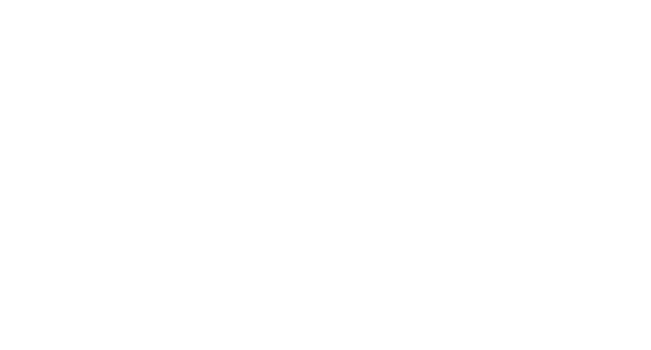 logo audaxfloripa branco